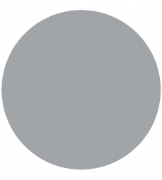 Grey Seer