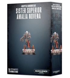 Sister Superior Amalia Novena