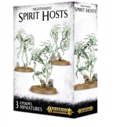 Spirit Hosts