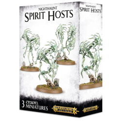 Spirit Hosts