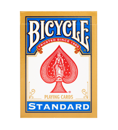 BICYCLE RIDER BACK - STANDARD