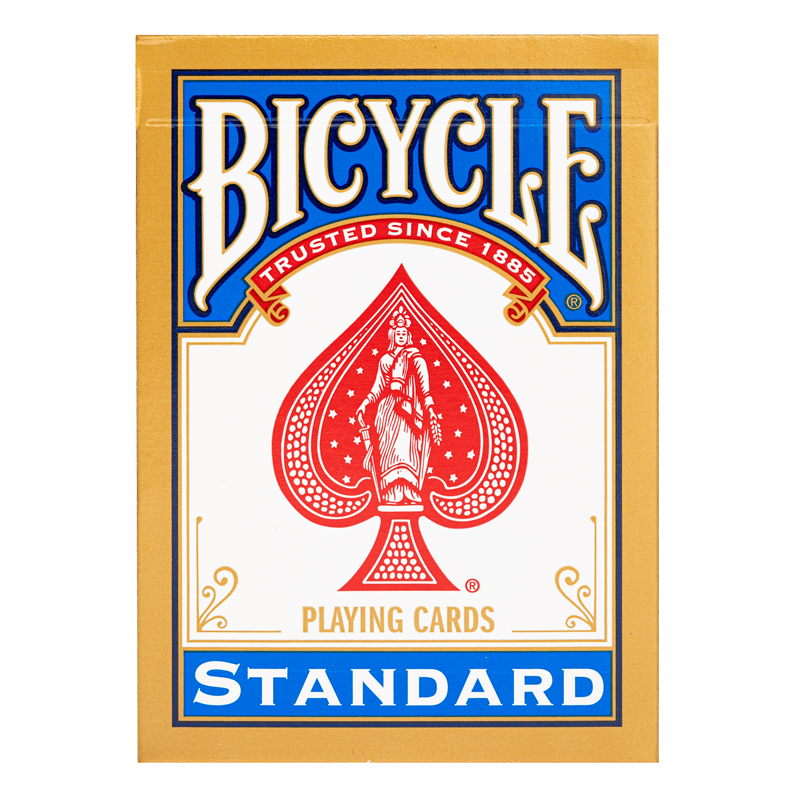 BICYCLE RIDER BACK - STANDARD