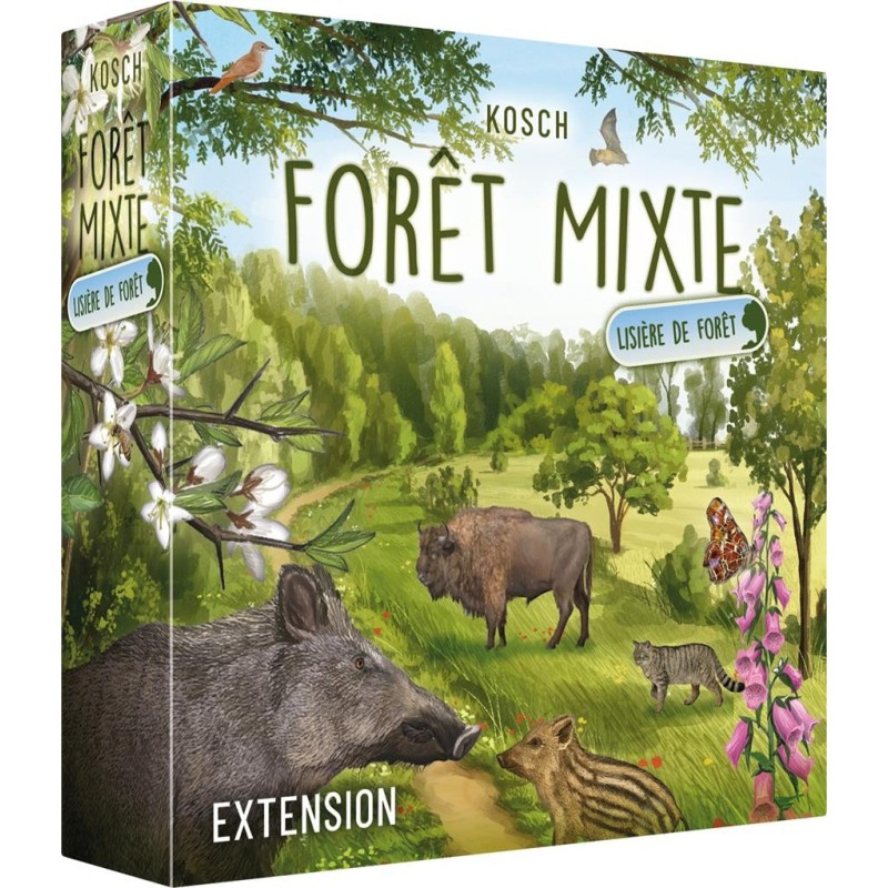 Forêt Mixte : Lisière de Forêt (Ext)