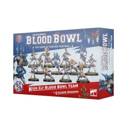 Équipe Blood Bowl de Hauts Elfes: Les Caledor Dragons